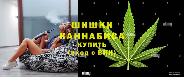 амф Аркадак