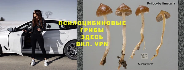 амф Аркадак