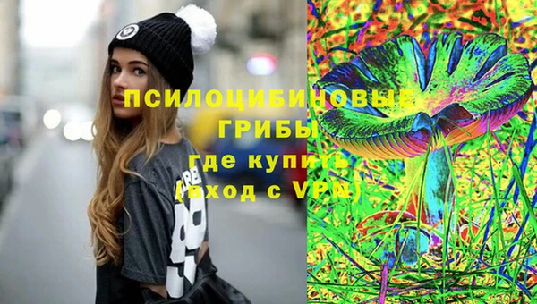бошки Арсеньев