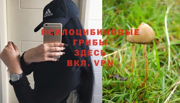 амф Аркадак