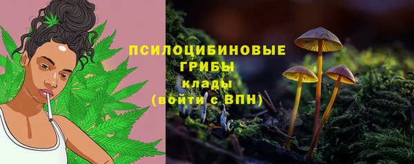 apvp Балабаново