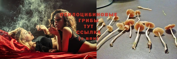 бошки Арсеньев